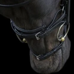 Ecorider Ecosoft Enigma Bridle -Horse Supplies Store 16001e