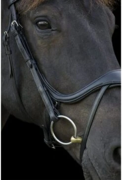 Ecorider Ecosoft Enigma Bridle -Horse Supplies Store 16001f