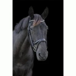 Ecorider Ecosoft Acclaim Bridle 9 Ecorider Ecosoft Acclaim Bridle -Horse Supplies Store 16002c