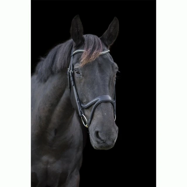 Ecorider Ecosoft Acclaim Bridle 5 Ecorider Ecosoft Acclaim Bridle - Image 3
