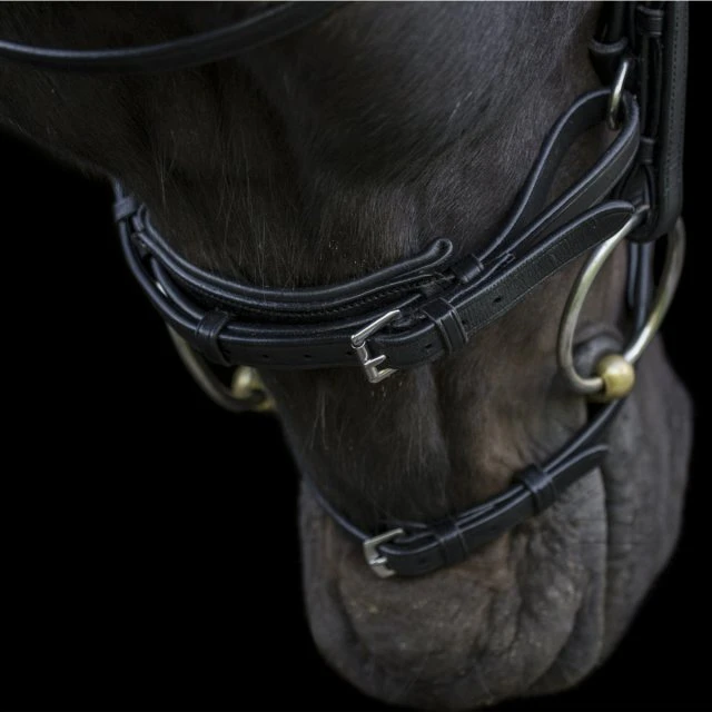 Ecorider Ecosoft Acclaim Bridle 6 Ecorider Ecosoft Acclaim Bridle - Image 4