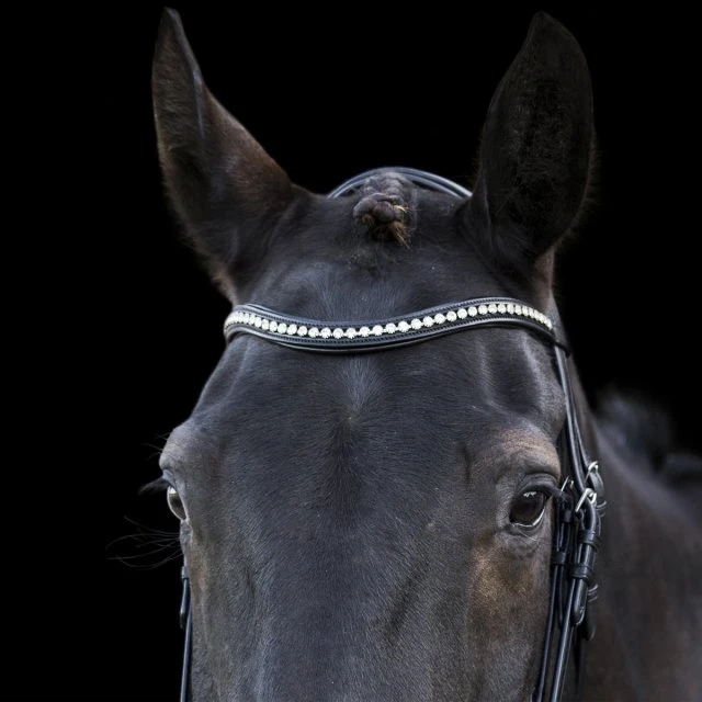 Ecorider Ecosoft Acclaim Bridle 7 Ecorider Ecosoft Acclaim Bridle - Image 5
