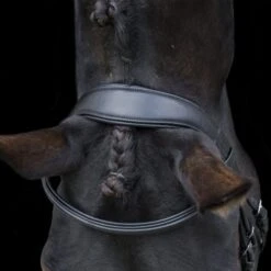 Ecorider Ecosoft Finesse Bridle -Horse Supplies Store 16003c