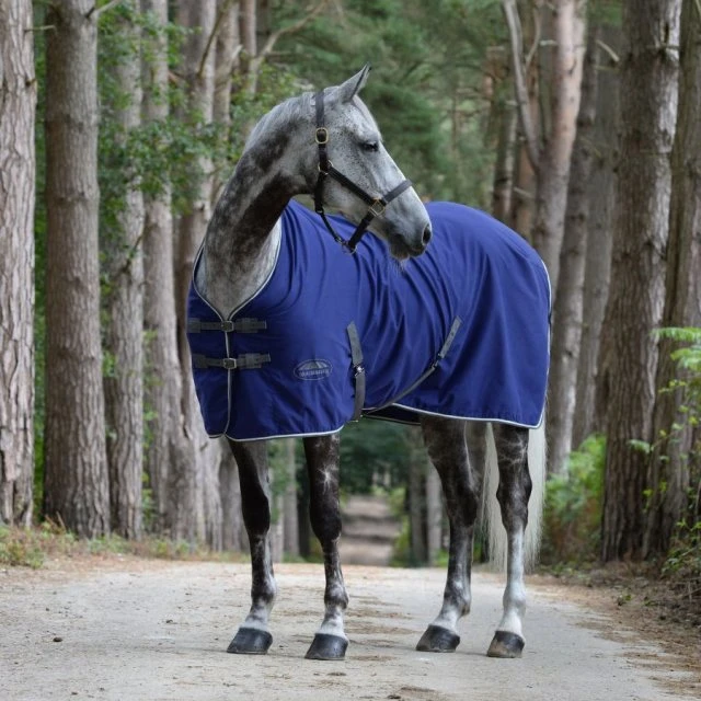 Weatherbeeta Cotton Show Sheet Standard Neck 4 Weatherbeeta Cotton Show Sheet Standard Neck - Image 2