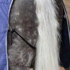 Weatherbeeta Cotton Show Sheet Standard Neck 12 Weatherbeeta Cotton Show Sheet Standard Neck -Horse Supplies Store 16151d