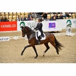 Catago FIR-Tech Dressage Saddle Pad -Horse Supplies Store 16191d