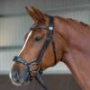 Fairfax Pony Drop Noseband 2 Fairfax Pony Drop Noseband -Horse Supplies Store 16202