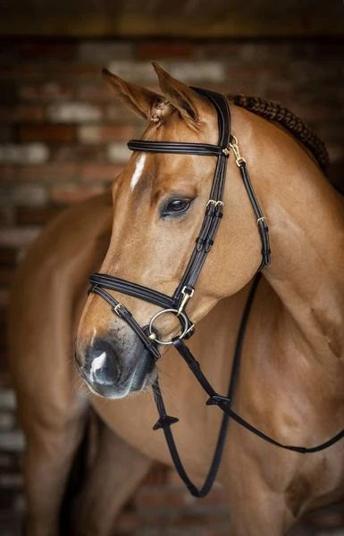 LeMieux Work Bridle 3 LeMieux Work Bridle
