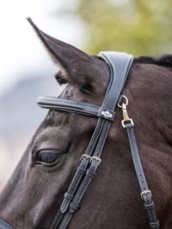 LeMieux Work Bridle 11 LeMieux Work Bridle -Horse Supplies Store 16206d