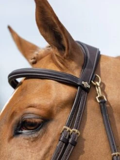 LeMieux Work Bridle 12 LeMieux Work Bridle -Horse Supplies Store 16206e