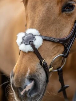 LeMieux Grackle Bridle -Horse Supplies Store 16214c