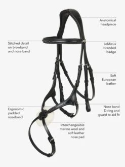 LeMieux Grackle Bridle -Horse Supplies Store 16214g