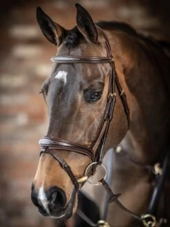 LeMieux Competition Flash Bridle -Horse Supplies Store 16215d