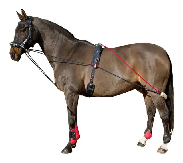 Whitaker Trainig System 3 Whitaker Trainig System