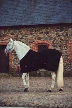 Catago Cooler Rug 10 Catago Cooler Rug -Horse Supplies Store 16614c