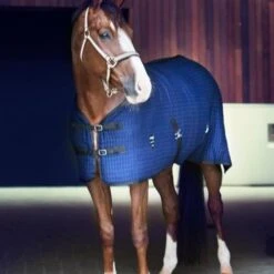 Catago Cooler Rug 13 Catago Cooler Rug -Horse Supplies Store 16614f