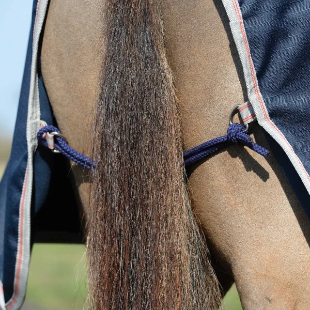 Weatherbeeta Essential Fleece Lined Quarter Sheet 4 Weatherbeeta Essential Fleece Lined Quarter Sheet - Image 2