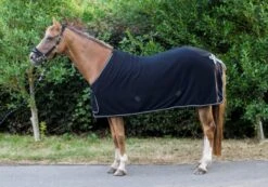 Cameo Equine Limited Edition Show Collection Rug