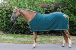 Cameo Equine Limited Edition Show Collection Rug -Horse Supplies Store 16749c