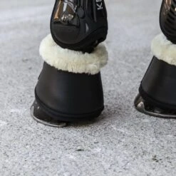 Horse Supplies Store -Horse Supplies Store 17219b