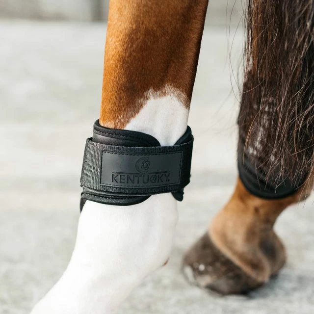 Kentucky Young Horse Fetlock Boots Air 4 Kentucky Young Horse Fetlock Boots Air - Image 2