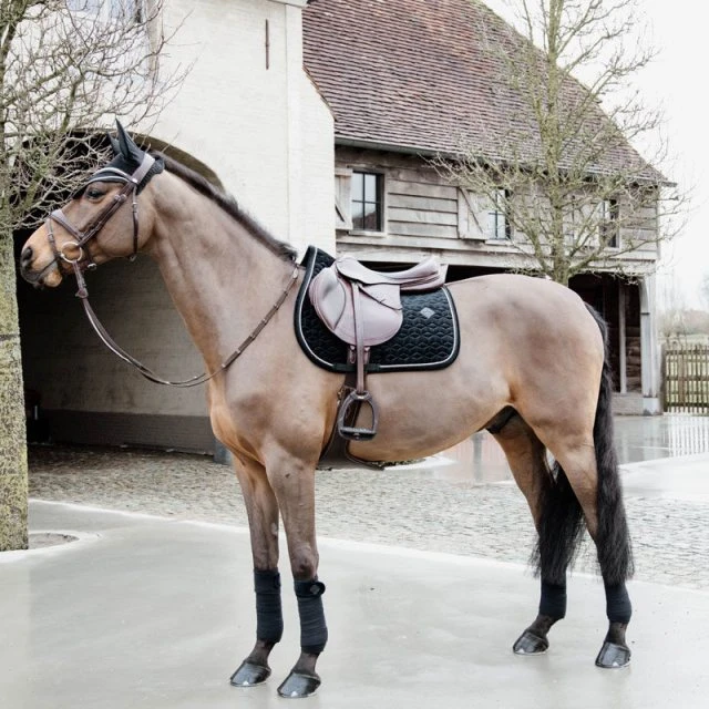 Kentucky Basic Velvet Jumping Pad 4 Kentucky Basic Velvet Jumping Pad - Image 2