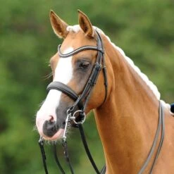 Passier Blue Dream Double Bridle W/ Reins