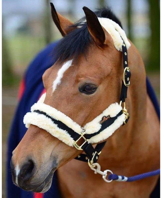 Kentucky Nylon Sheepskin Head Collar 4 Kentucky Nylon Sheepskin Head Collar - Image 2