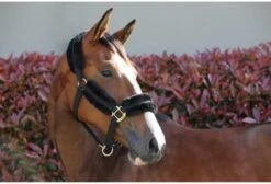 Kentucky Nylon Sheepskin Head Collar 8 Kentucky Nylon Sheepskin Head Collar -Horse Supplies Store 17314c