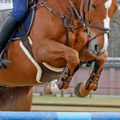 Kentucky Sheepskin Stud Girth -Horse Supplies Store 17319c