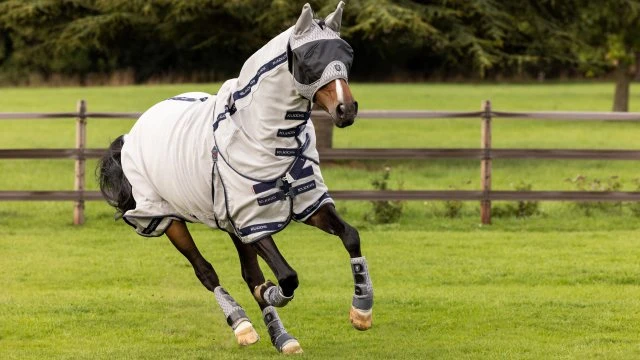 LeMieux Kudos Gladiator Fly Rug 3 LeMieux Kudos Gladiator Fly Rug