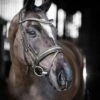 LeMieux Arika Dressage Bridle -Horse Supplies Store 17778