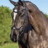 LeMieux Arika Drop Bridle 2 LeMieux Arika Drop Bridle -Horse Supplies Store 17779