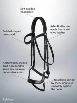 LeMieux Arika Drop Bridle -Horse Supplies Store 17779f