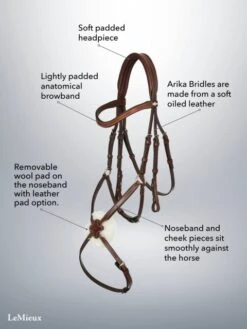 LeMieux Arika Grackle Bridle -Horse Supplies Store 17781d