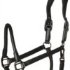 Catago Leather Halter -Horse Supplies Store 17787
