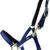 Hy Fieldsafe Head Collar -Horse Supplies Store 17860