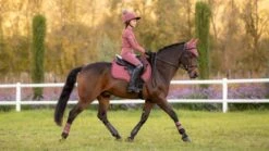 LeMieux Grafter Brushing Boots - Orchid 7 LeMieux Grafter Brushing Boots - Orchid -Horse Supplies Store 17991c