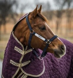 Horseware Fieldsafe Headcollar -Horse Supplies Store 18029c