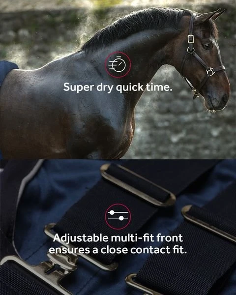 Rambo Dry Rug 6 Rambo Dry Rug - Image 4