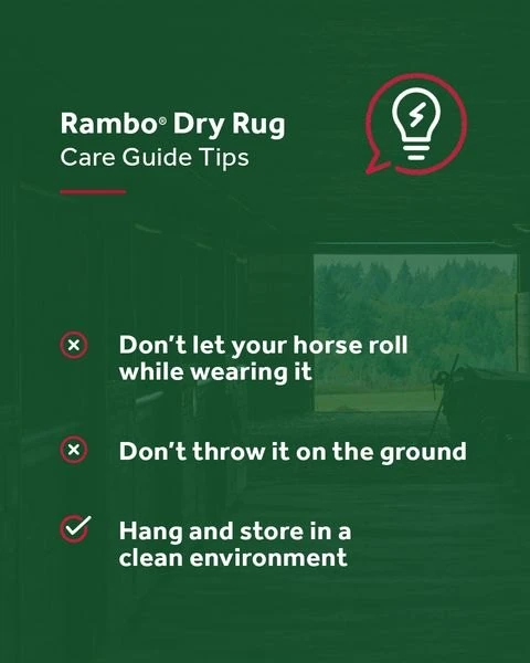 Rambo Dry Rug 7 Rambo Dry Rug - Image 5