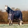 LeMieux Kudos Turnout Rug - 100g 1 LeMieux Kudos Turnout Rug - 100g -Horse Supplies Store 18056