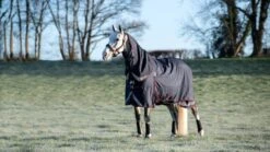 LeMieux Kudos Turnout Rug - 100g -Horse Supplies Store 18056c