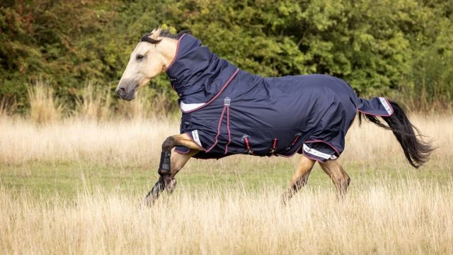 LeMieux Kudos Turnout Rug - 50g 4 LeMieux Kudos Turnout Rug - 50g - Image 2