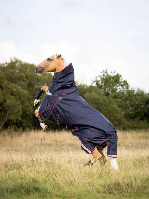 LeMieux Kudos Turnout Rug - 50g 5 LeMieux Kudos Turnout Rug - 50g - Image 3