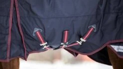 LeMieux Kudos Turnout Rug - 50g 13 LeMieux Kudos Turnout Rug - 50g -Horse Supplies Store 18057f