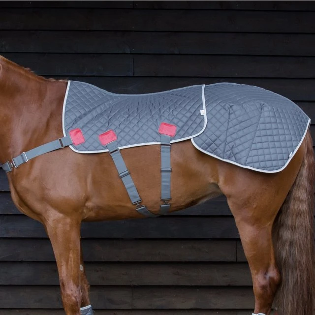 Equilibrium Magnetic Back & Quarter Pad 3 Equilibrium Magnetic Back & Quarter Pad