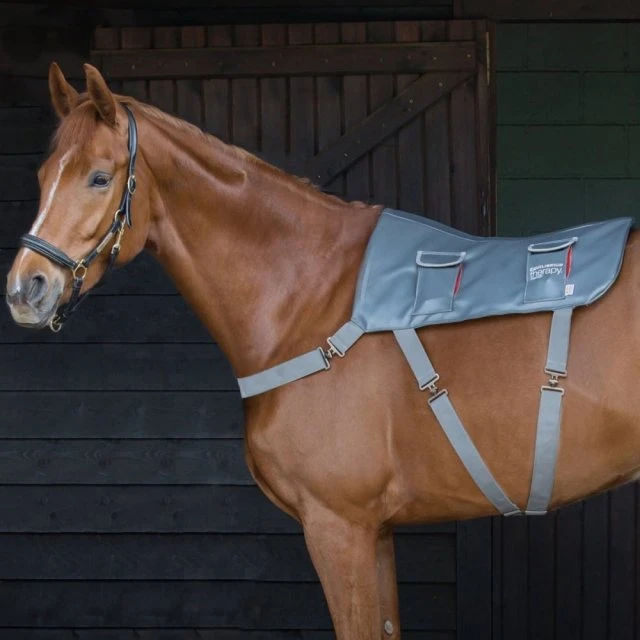 Equilibrium Massage Pad 3 Equilibrium Massage Pad