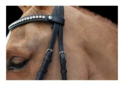 Ecorider Ultra Comfort Navan Bridle -Horse Supplies Store 18104c