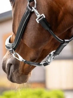 LeMieux Leather Grooming Headcollar 9 LeMieux Leather Grooming Headcollar -Horse Supplies Store 18222d